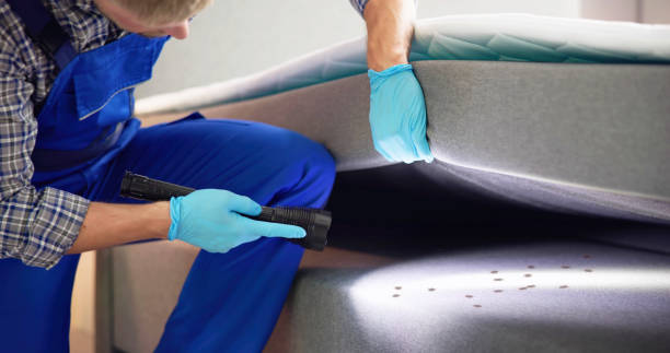 Best Commercial Pest Control Services  in Wright, WY
